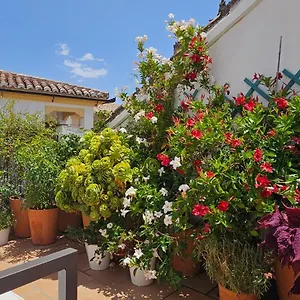  Apartment Descalzos Angel With Private Terrace Free Parking Spanien
